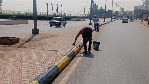 محافظ أسيوط يراجع تحسين الميادين والحدائق