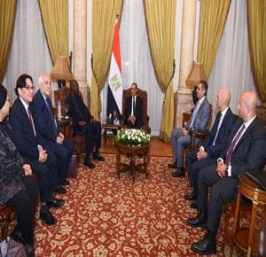 Egyptian FM Reaffirms Support for Palestine