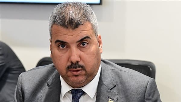 Deputy Abu Shaikh on Sisi's Article 25 stance