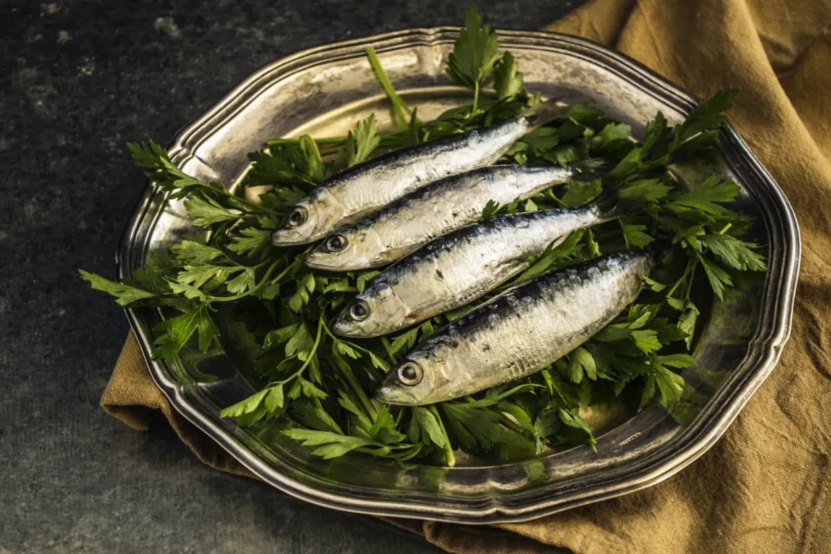 Sardines and Immunity Impact