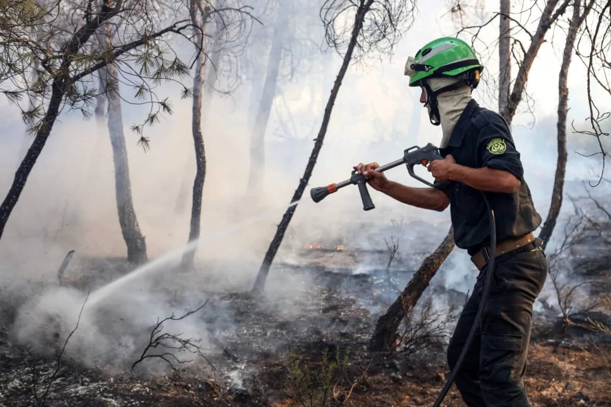 Algeria Forest Fire Deaths