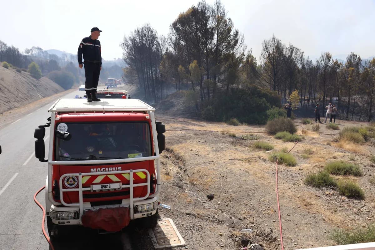 Algeria sustains firefighting efforts