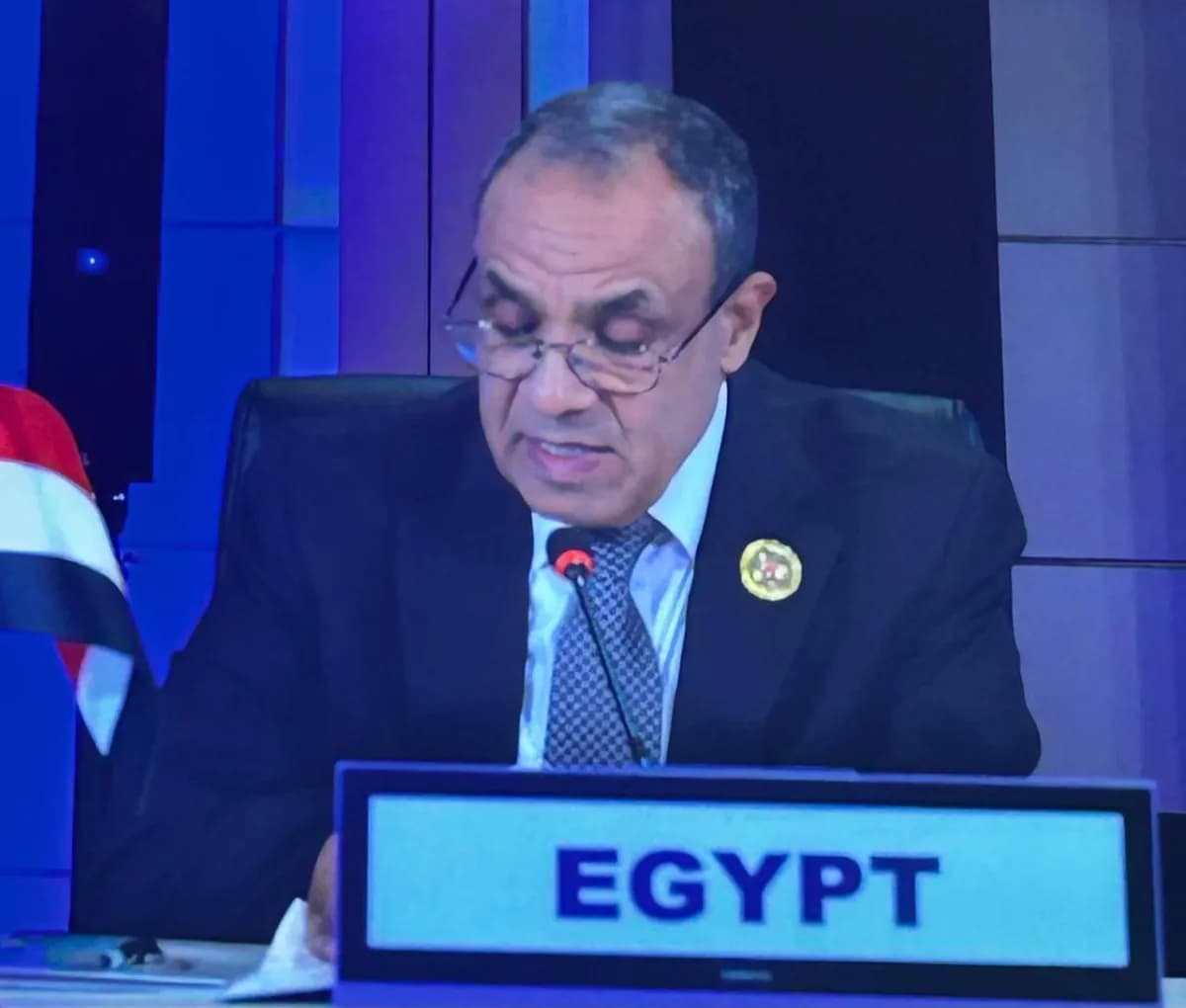 Egypt enhances ASEAN ties and urges financial reform