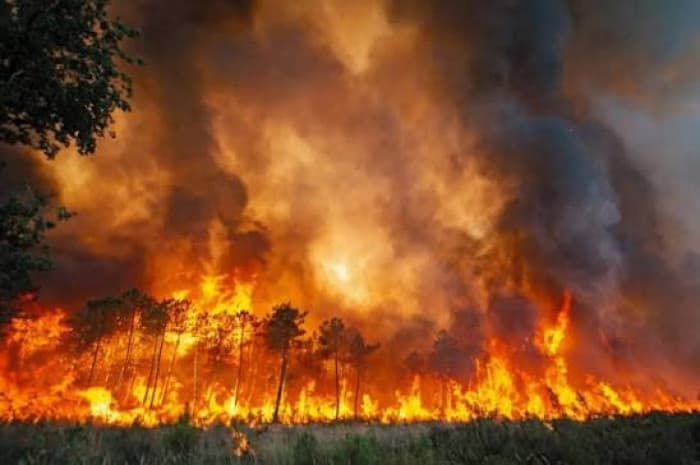 Six deaths in Algerian fires