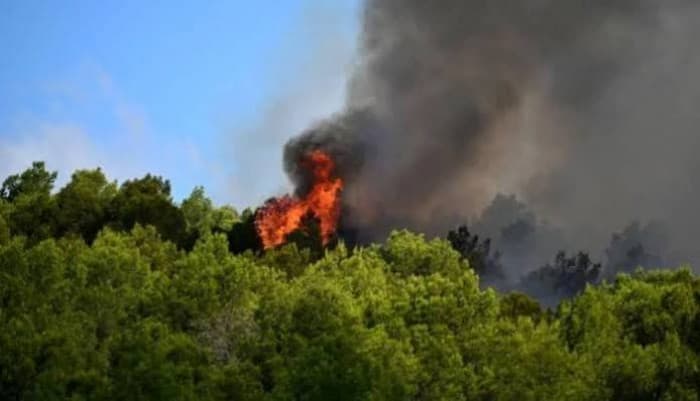 Southwestern France evacuates 10,000+