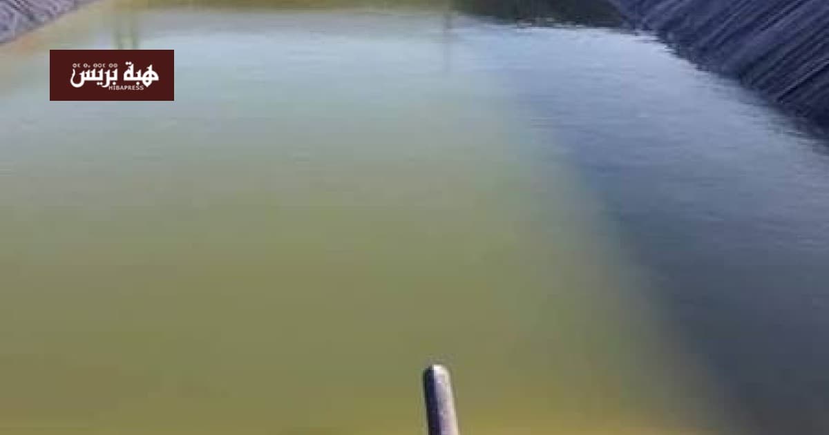 Shepherd's body found in irrigation basin