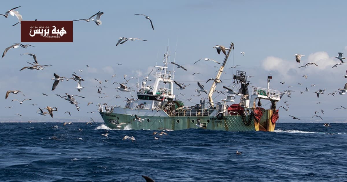 Fisheries official denies link to Jabu Allah case