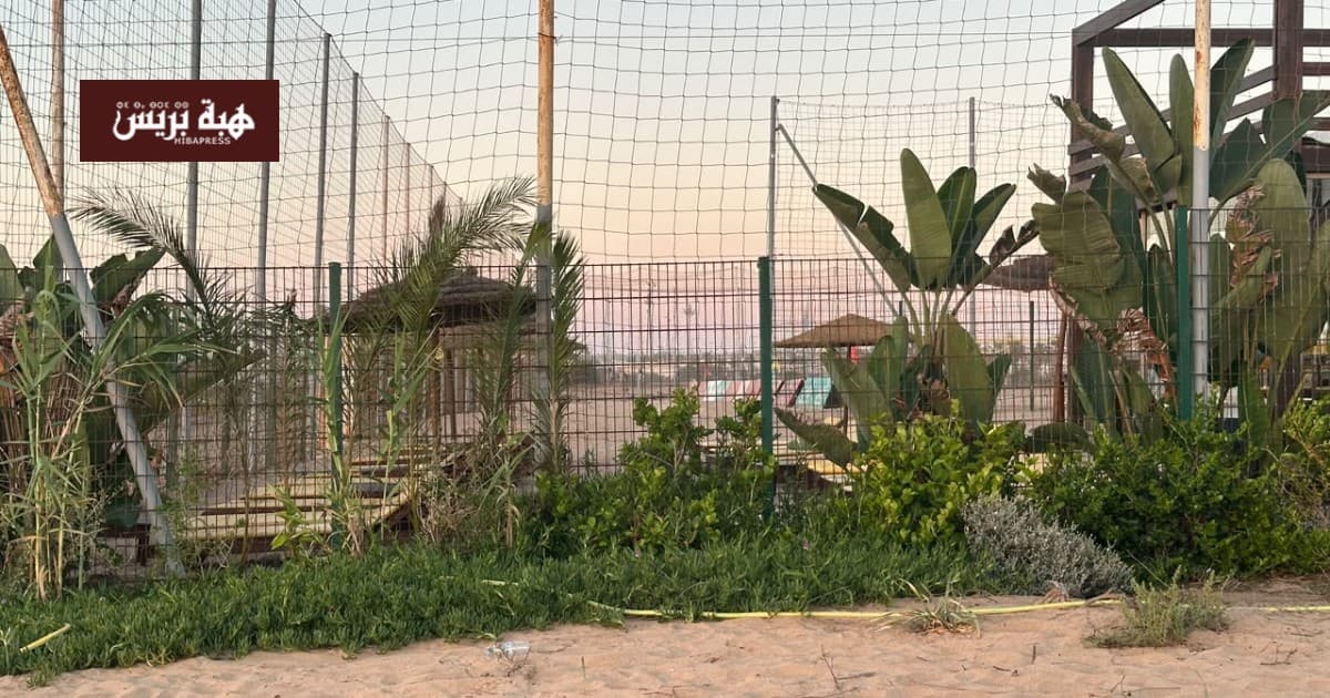 Ain El Dhib Stadium's Changing Role