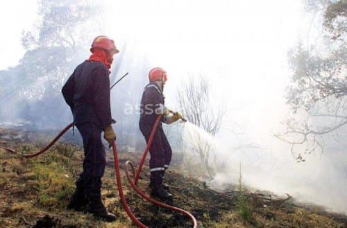 Morocco reports 310 forest fires in 2026