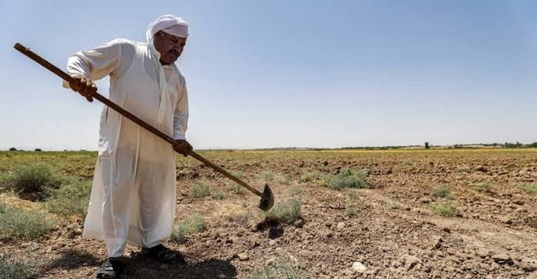 Five threats to Iraq agriculture
