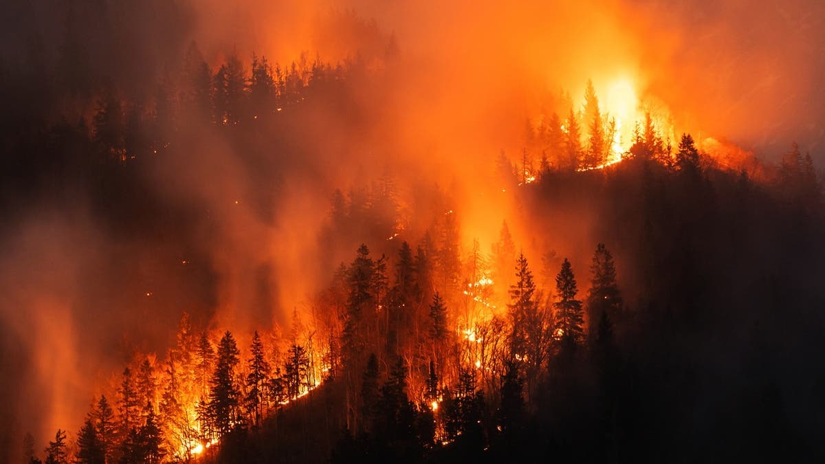 Forest fire consumes 1,700ha in Var