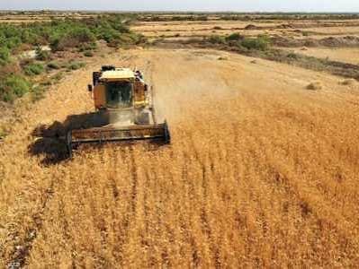 Global wheat prices increase amid supply worries