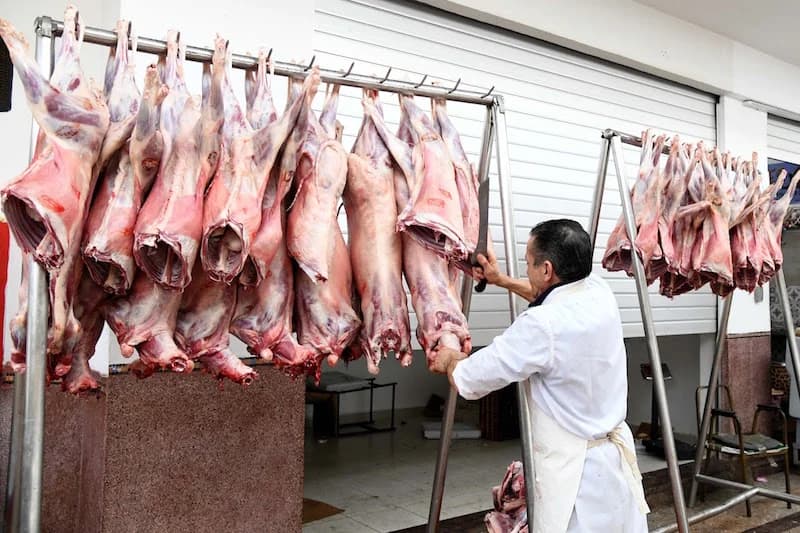 Morocco Faces Rising Sheep Meat Costs