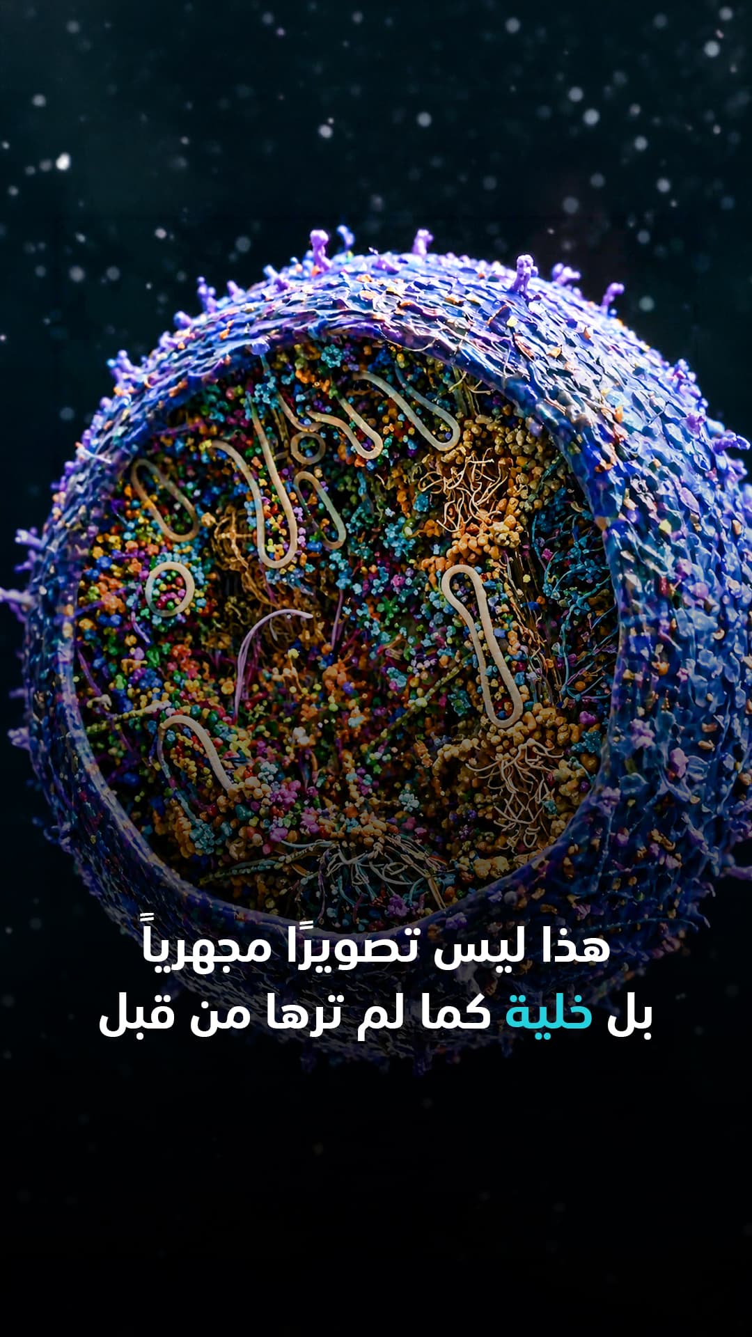 What does a single cell look like