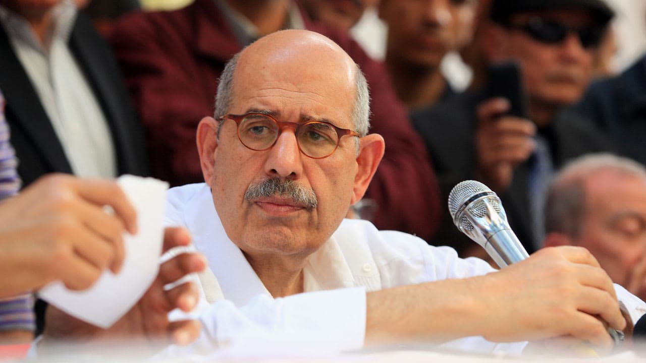 ElBaradei on Arab ICC Members