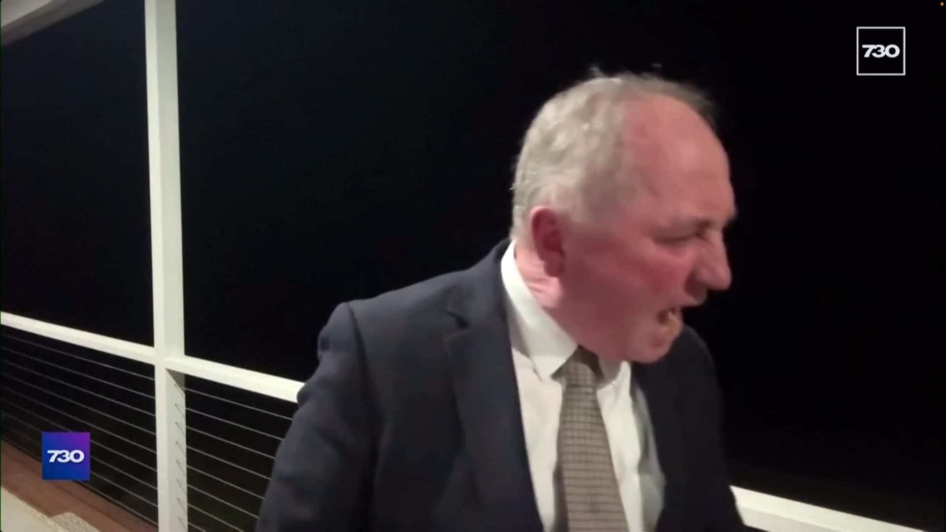 Australian politician interrupts live interview to shout at dog