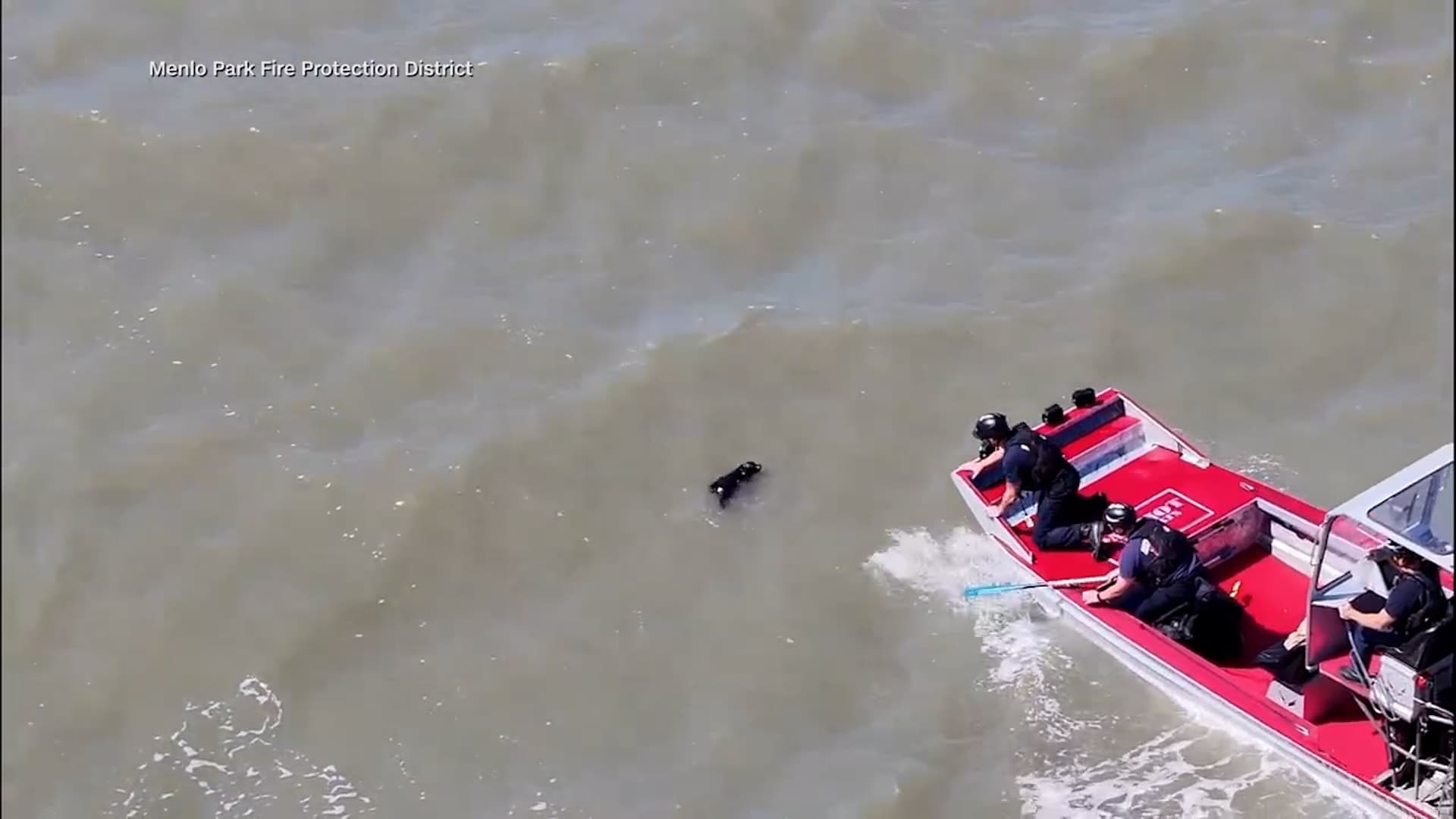 Drone helps rescue lost dog in San Francisco Bay