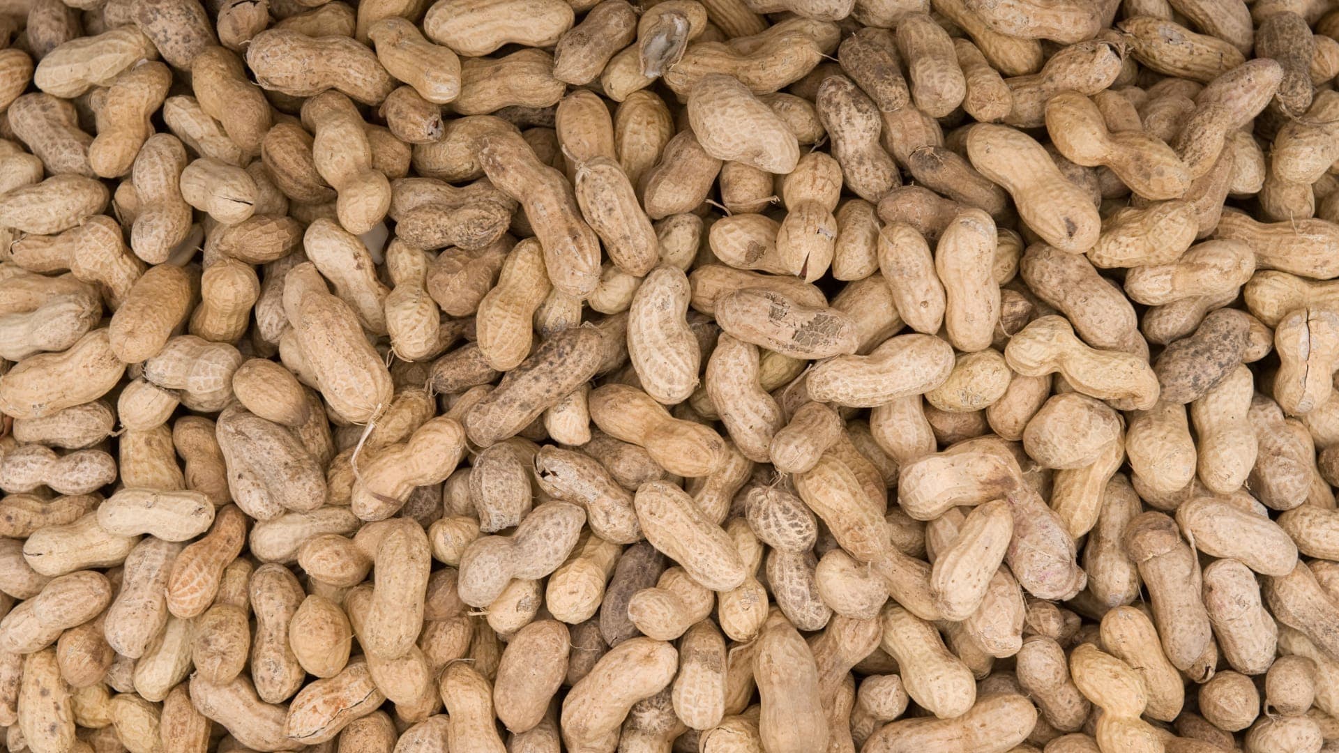 Tips to Avoid Common Allergens