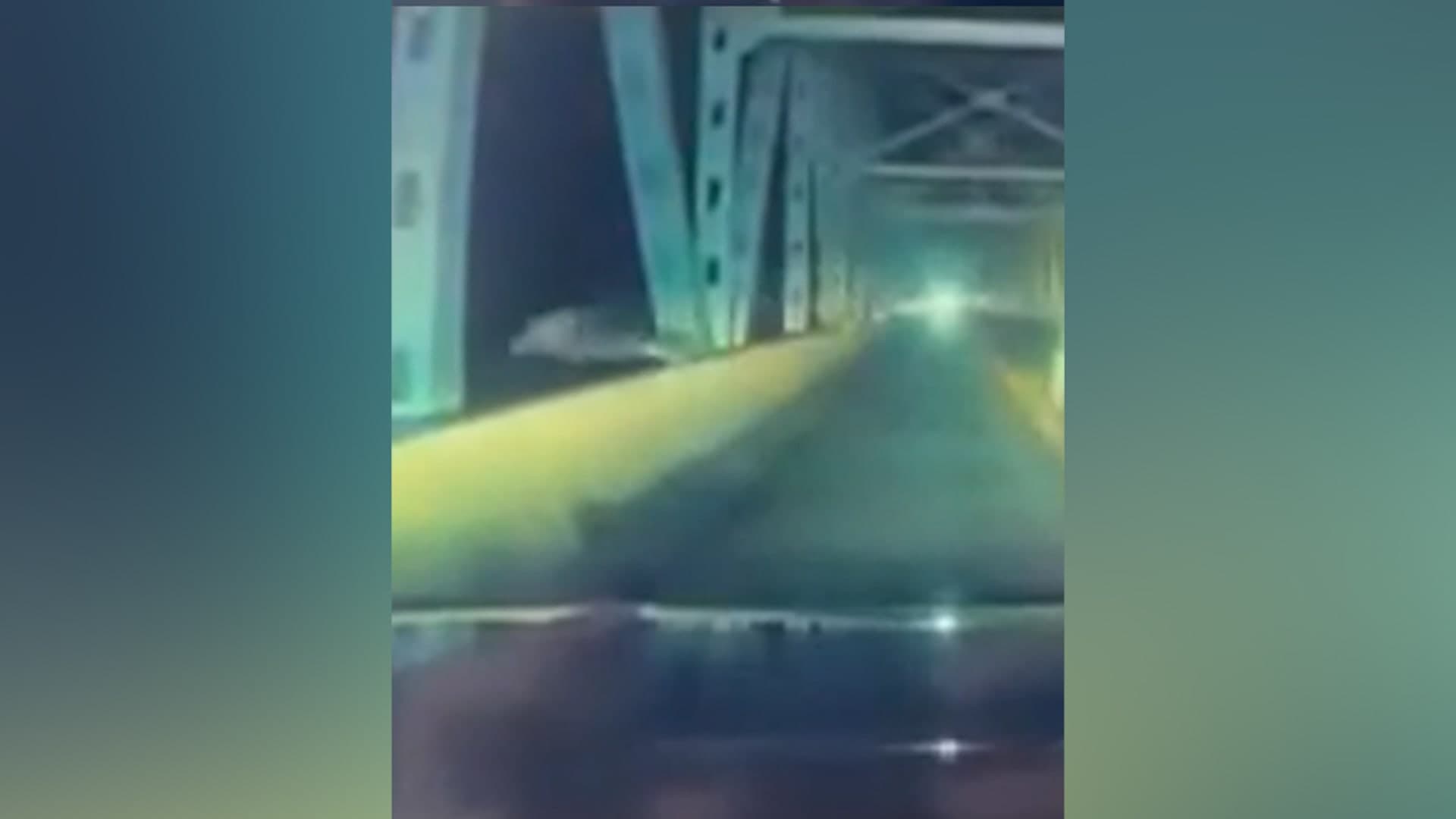 Man jumps off bridge to flee police