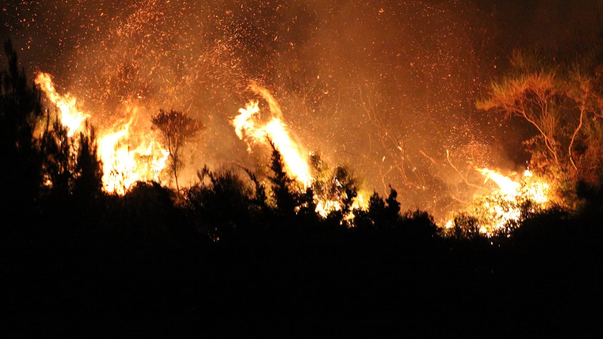 Italy rescues tourists from wildfires