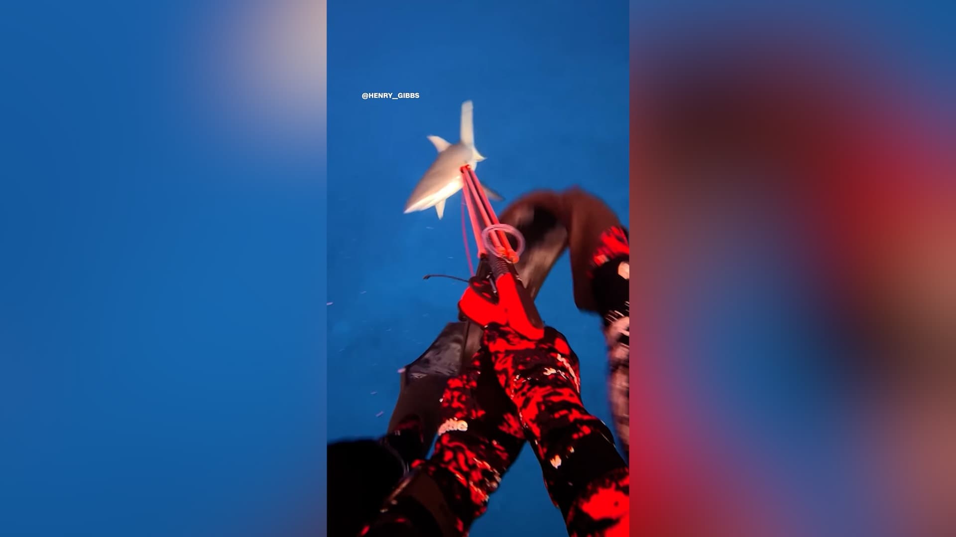Shark Attacks Fisherman and Pulls Him Under