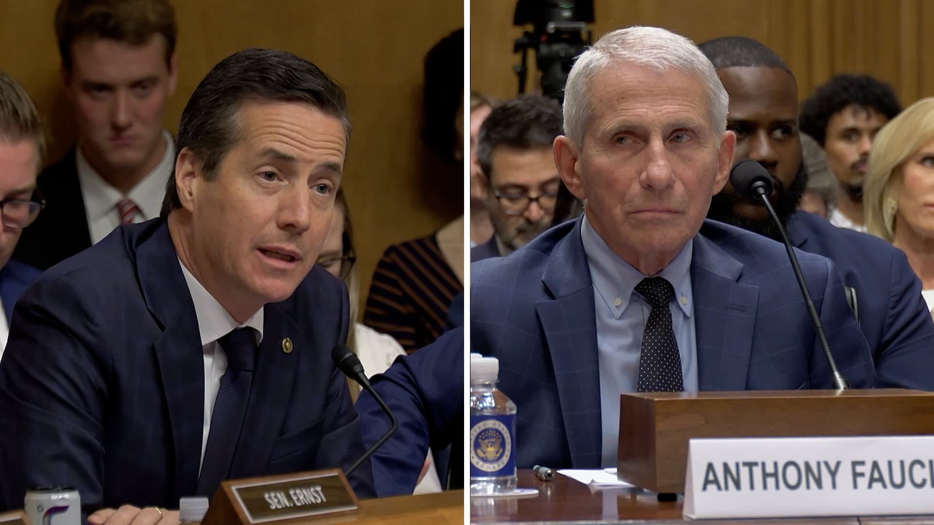 Senator's language during Fauci hearing