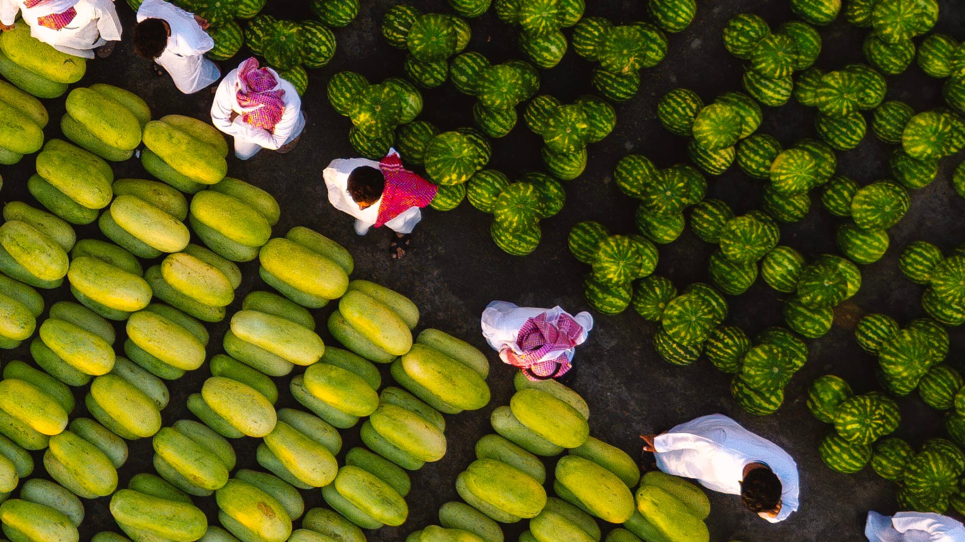 Aerial view shows watermelon market in Saudi Arabia