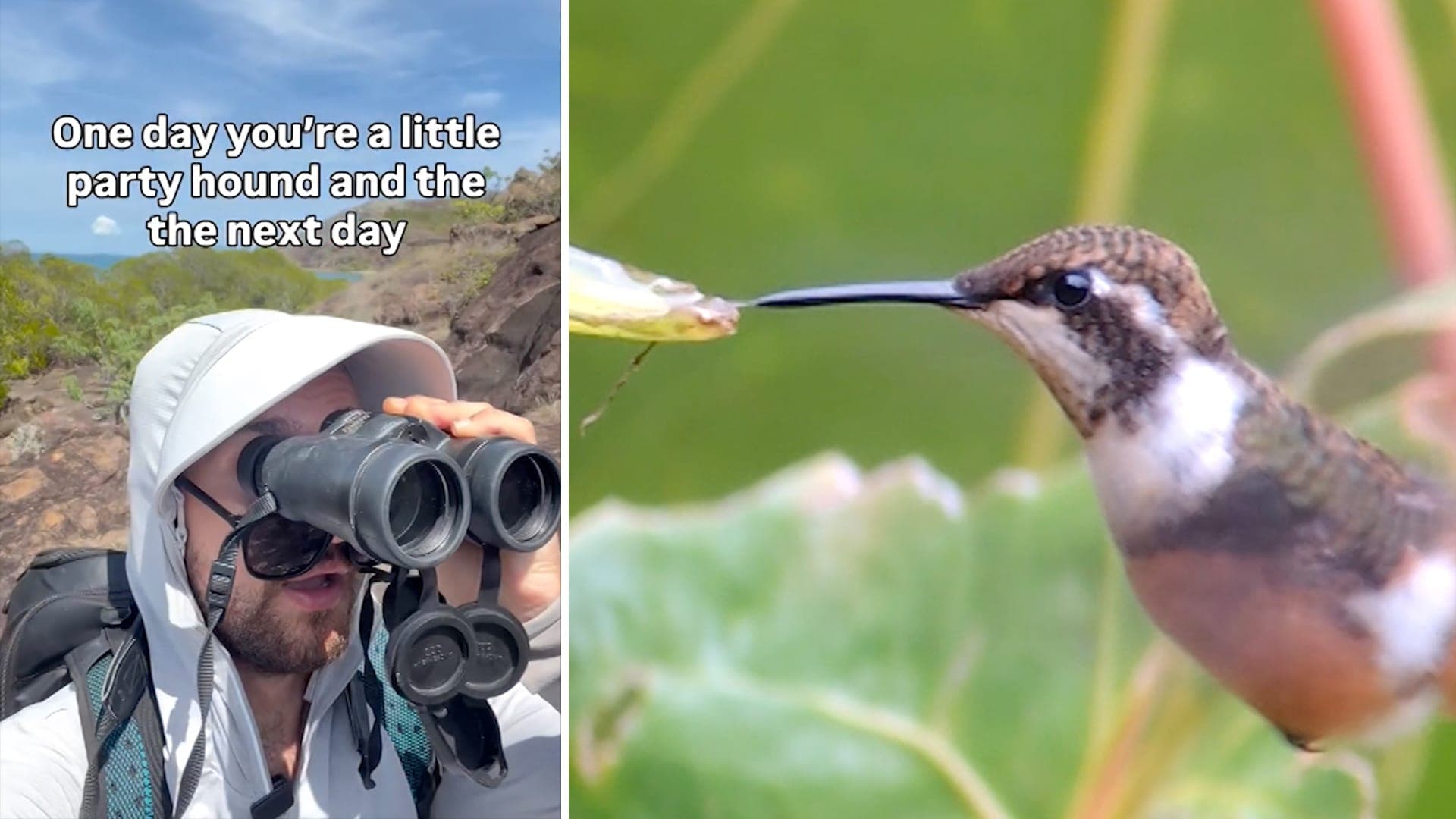 Generation Z's passion for birds