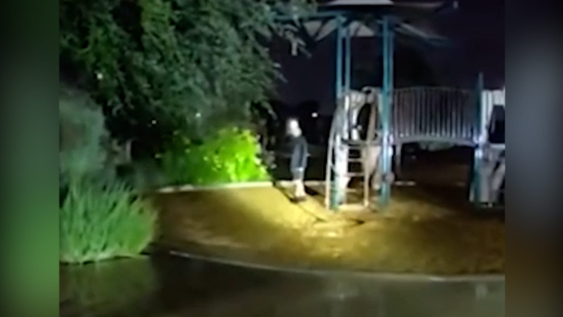 Officials cite police-related suicide of Black teen