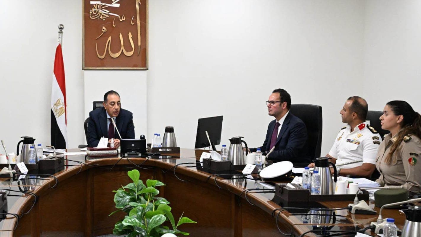 Egypt aims to control stray dog issues