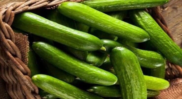 Benefits of eating cucumbers daily