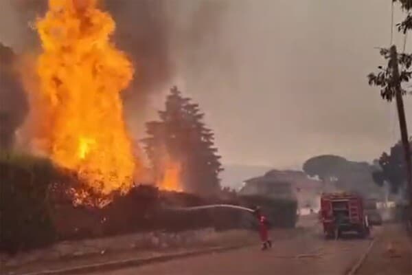 Madrid declares emergency over forest fires