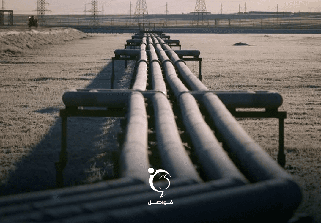 Companies vie to survey Libyan-Egyptian border oil reserves