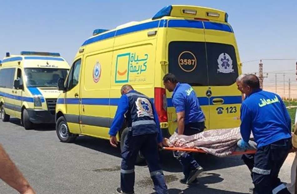 Sahl El-Tina Truck-Minisbus Crash Injures 33
