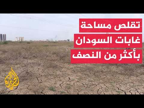 Sudan youth projects cut forest loss