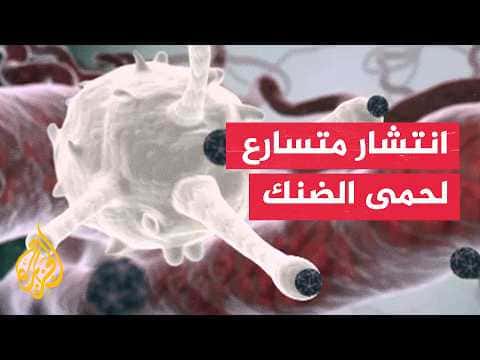 Blue Nile faces dengue outbreak challenges