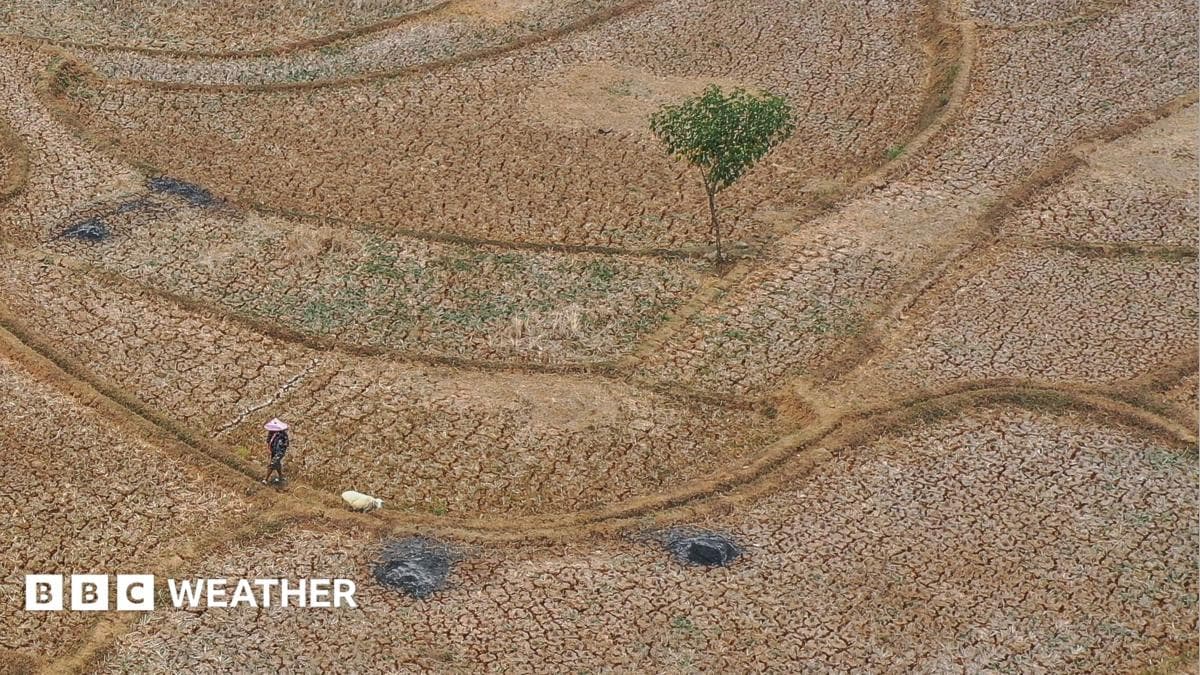 El Niño's global weather impacts
