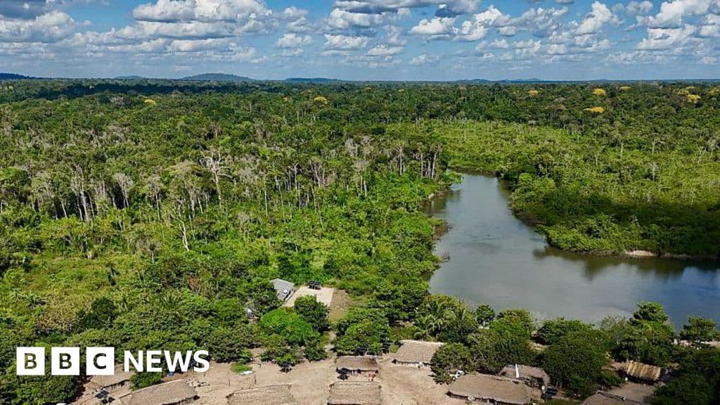 Amazon fires decrease in 2025