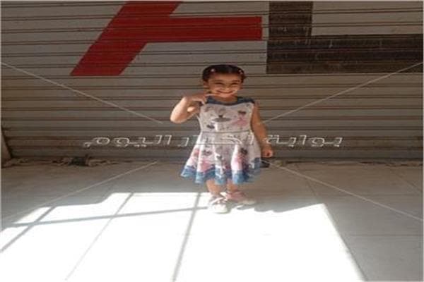 Shubra El Kheima Court Rules in Tia's Case