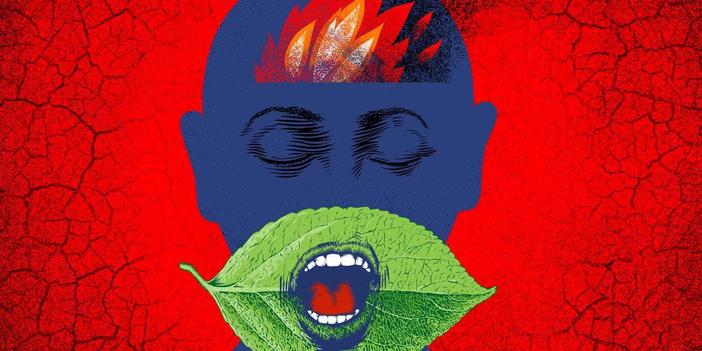 Youth face rising eco-anxiety amid ongoing heatwaves