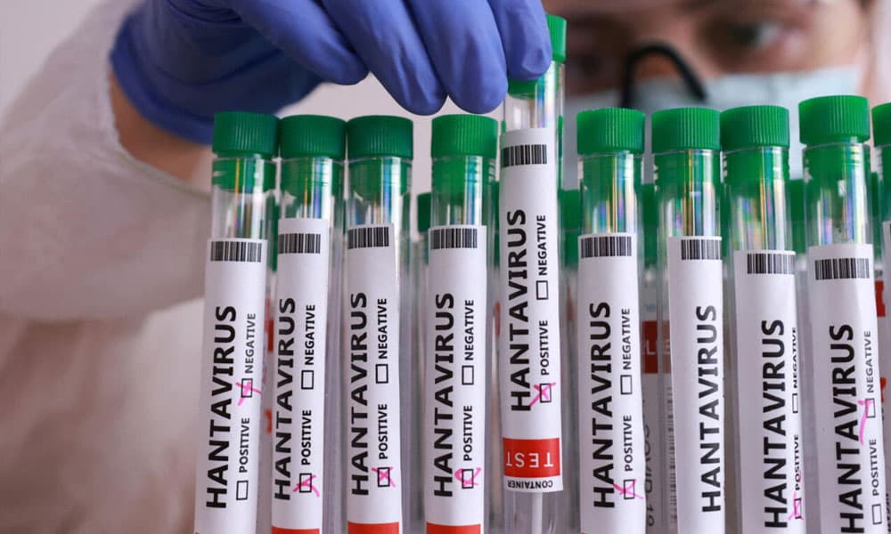 Three fatalities from Hantavirus in Venezuela