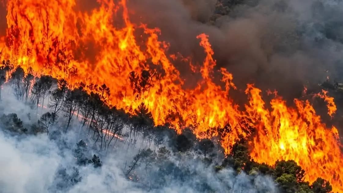Northern Algeria fires injure 100+ and uproot homes