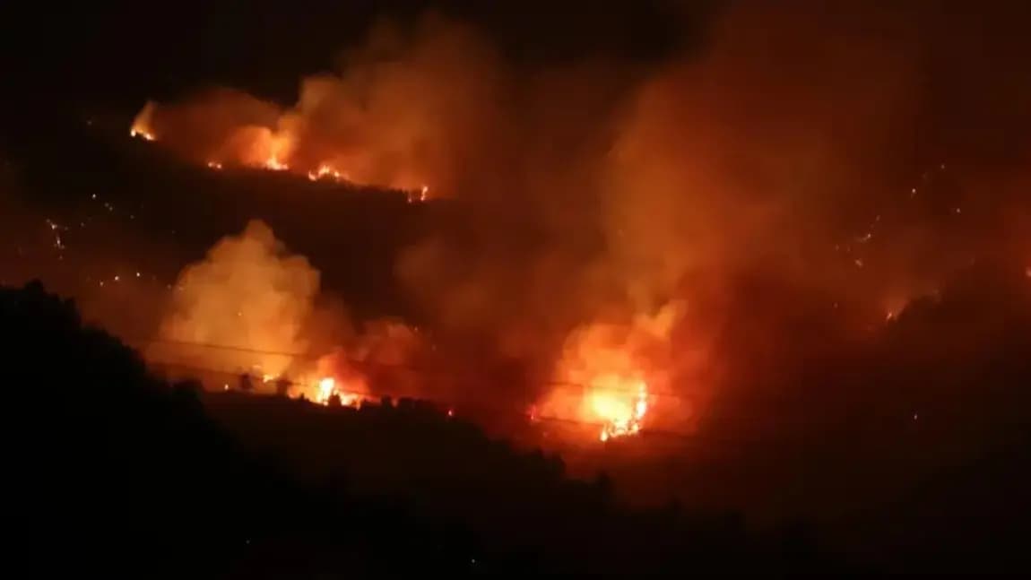 Wildfires Cause Major Damage in Tunisia and Algeria