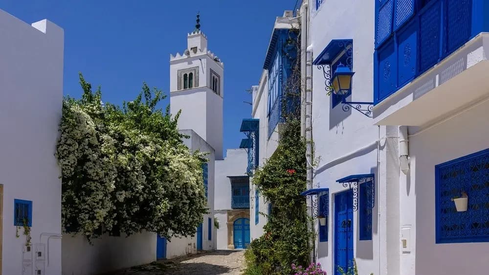 UNESCO Adds Sidi Bou Said to World Heritage