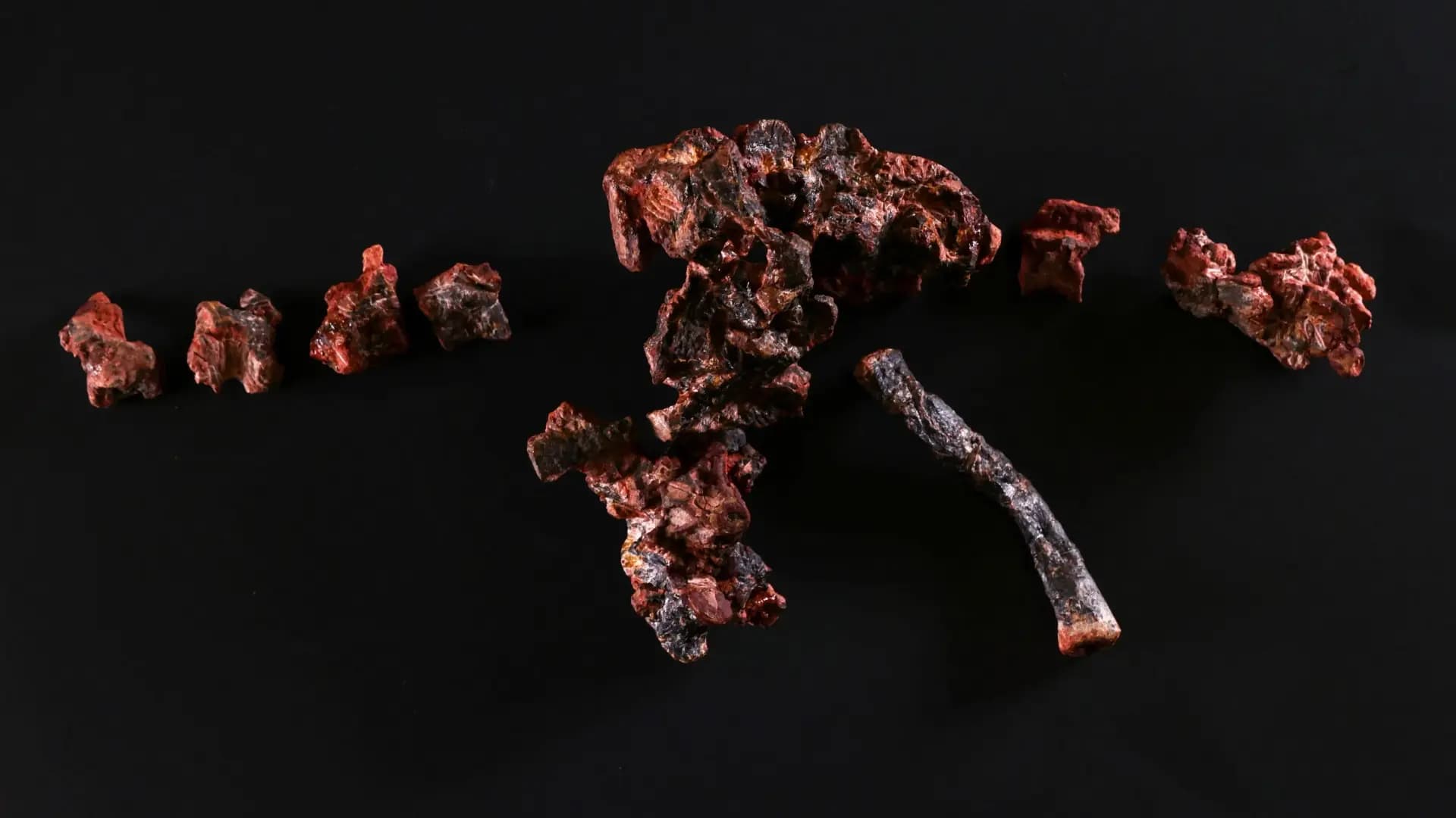 85M-year-old snake fossil uncovers reptile history