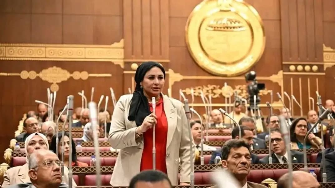 Parliament proposes housewife as generation maker on ID