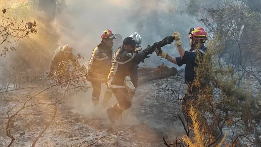 Fires in Tunisia and Algeria amid concerns