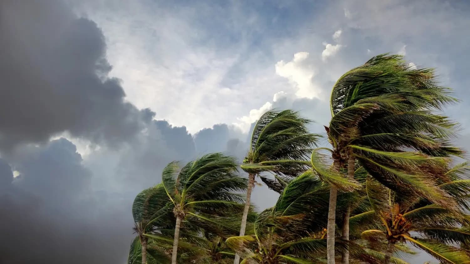 Tropical Storm Approaching US Coasts