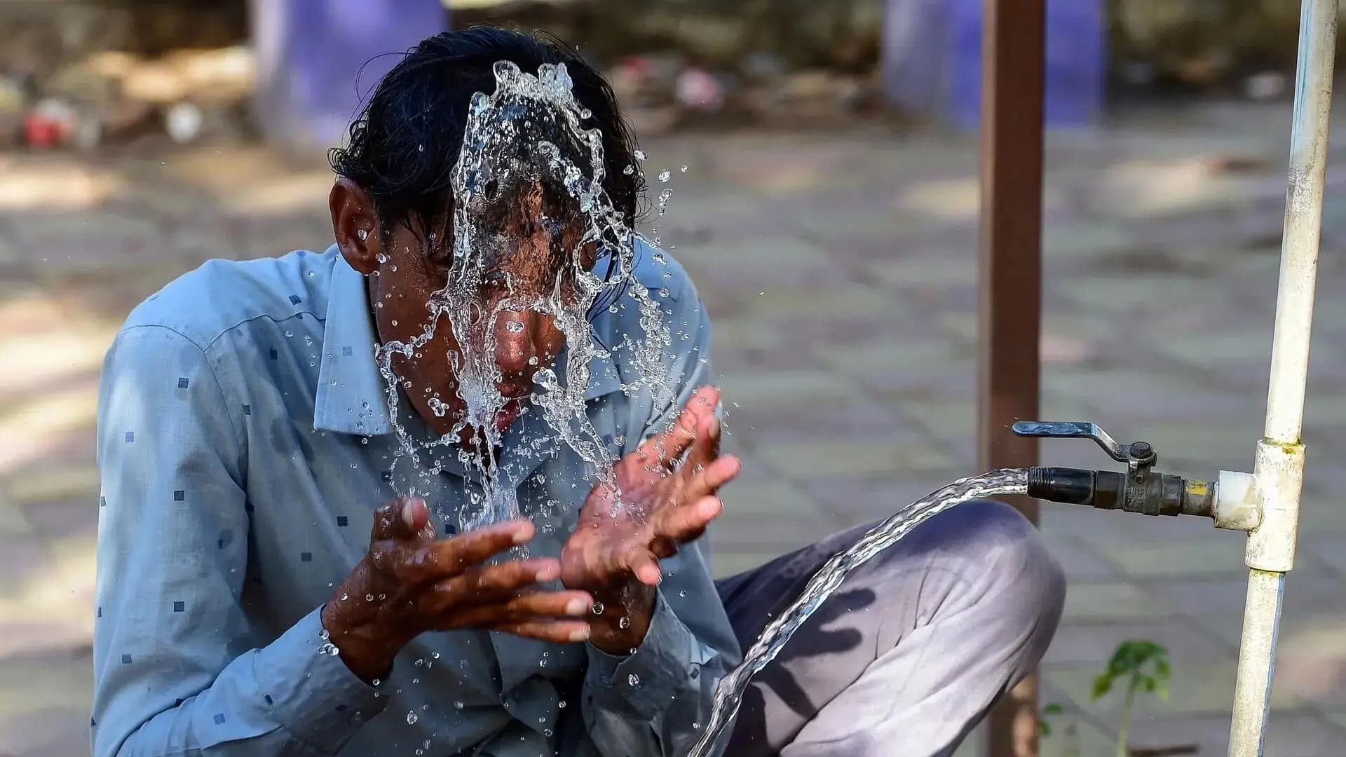 Heatwave alert in Algerian states