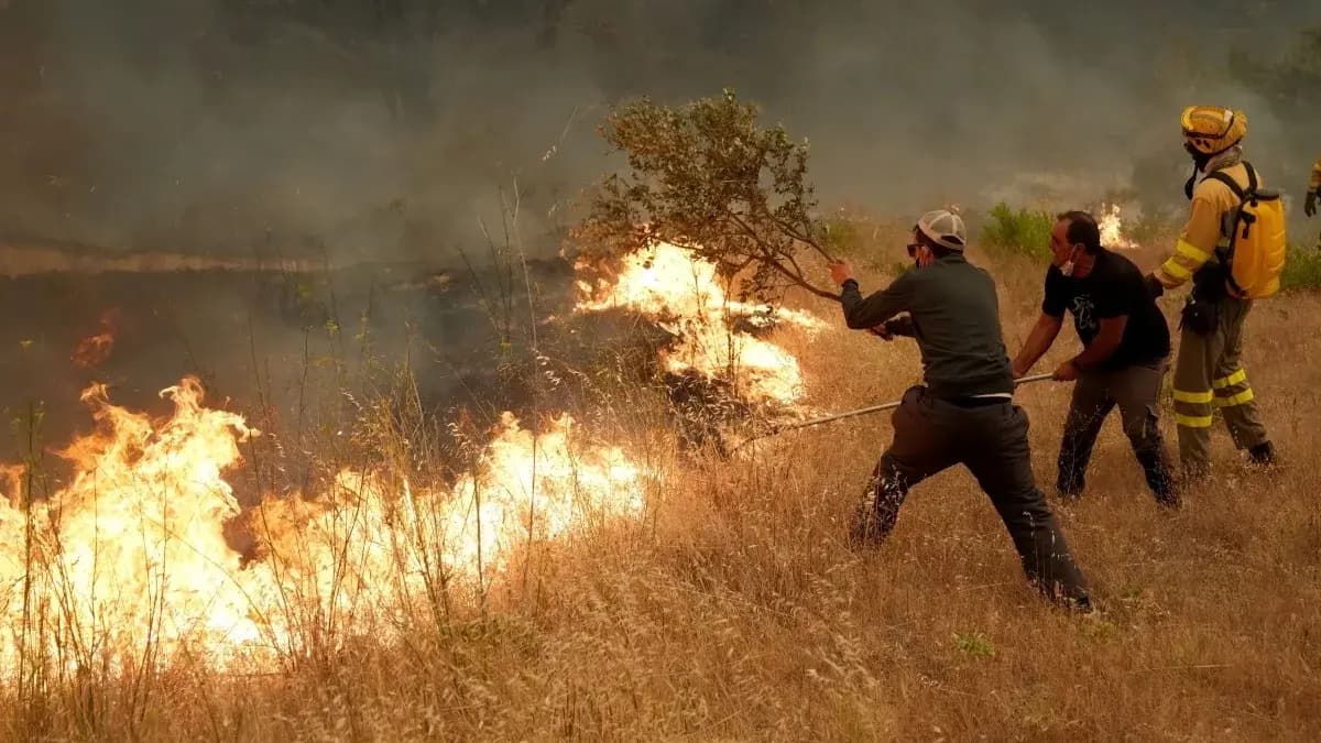 Spanish PM emphasizes saving lives amid wildfires